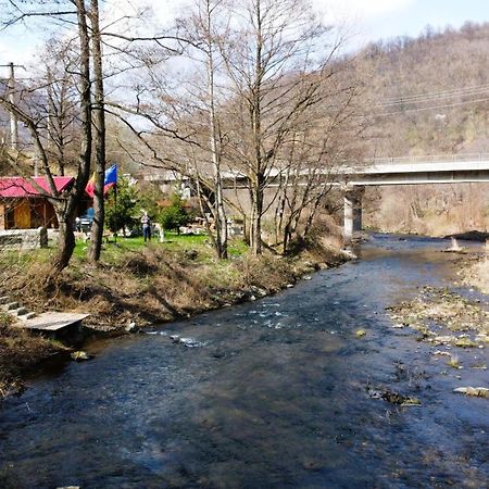 Eden Natural Resort - Transalpina Capalna Dış mekan fotoğraf