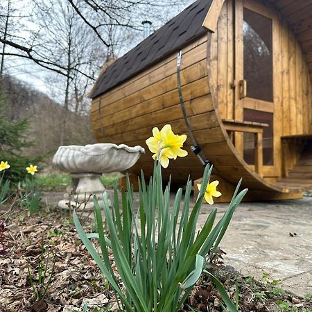 Eden Natural Resort - Transalpina Capalna Dış mekan fotoğraf