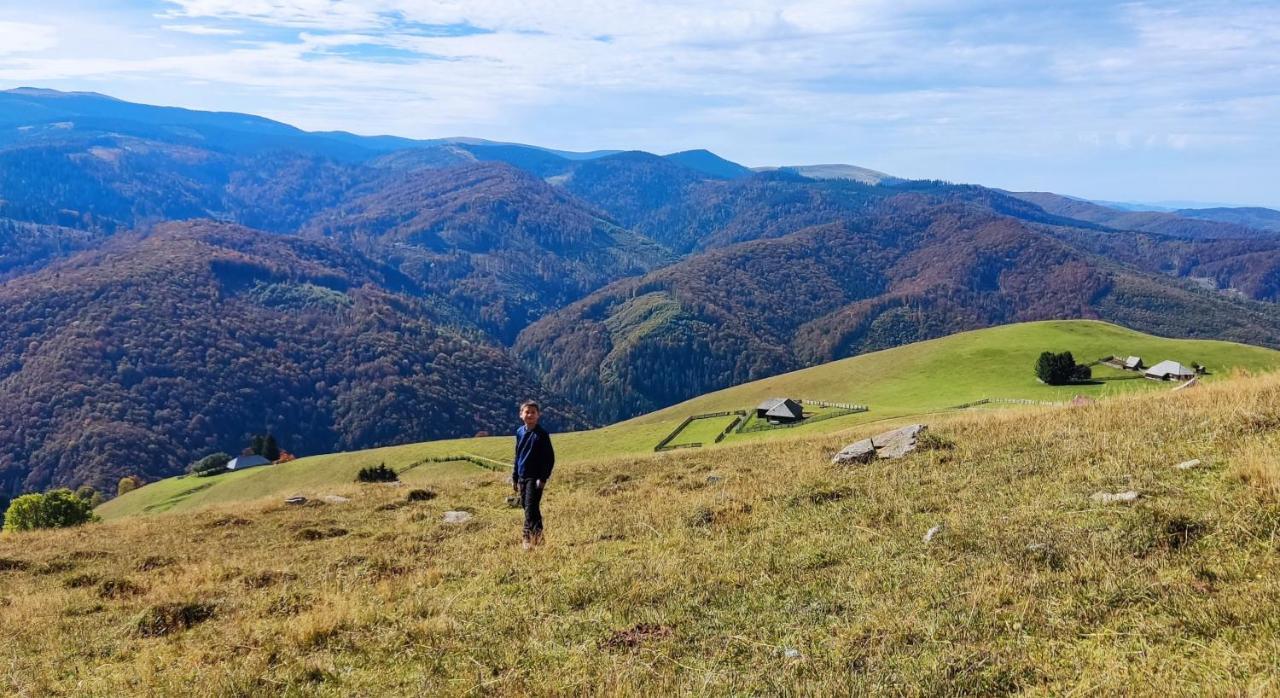 Eden Natural Resort - Transalpina Capalna Dış mekan fotoğraf