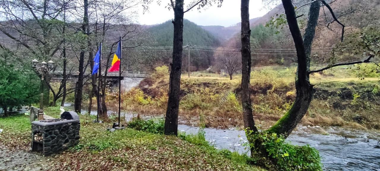 Eden Natural Resort - Transalpina Capalna Dış mekan fotoğraf