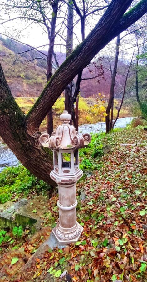 Eden Natural Resort - Transalpina Capalna Dış mekan fotoğraf