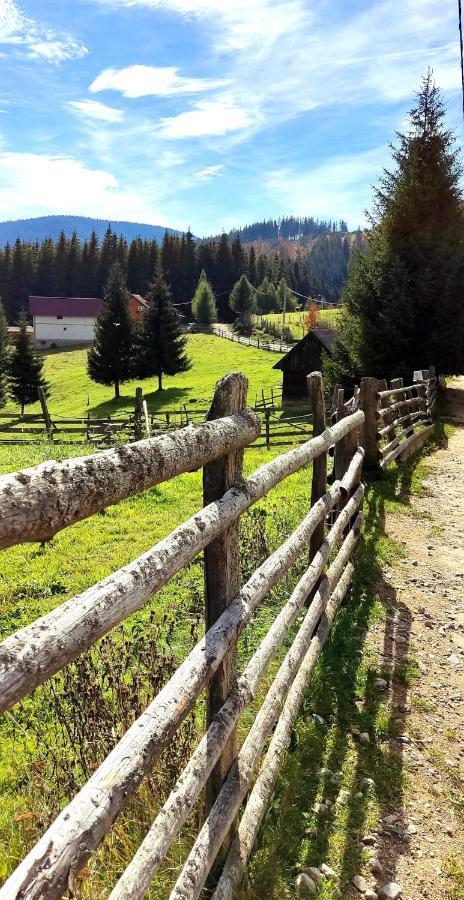 Eden Natural Resort - Transalpina Capalna Dış mekan fotoğraf