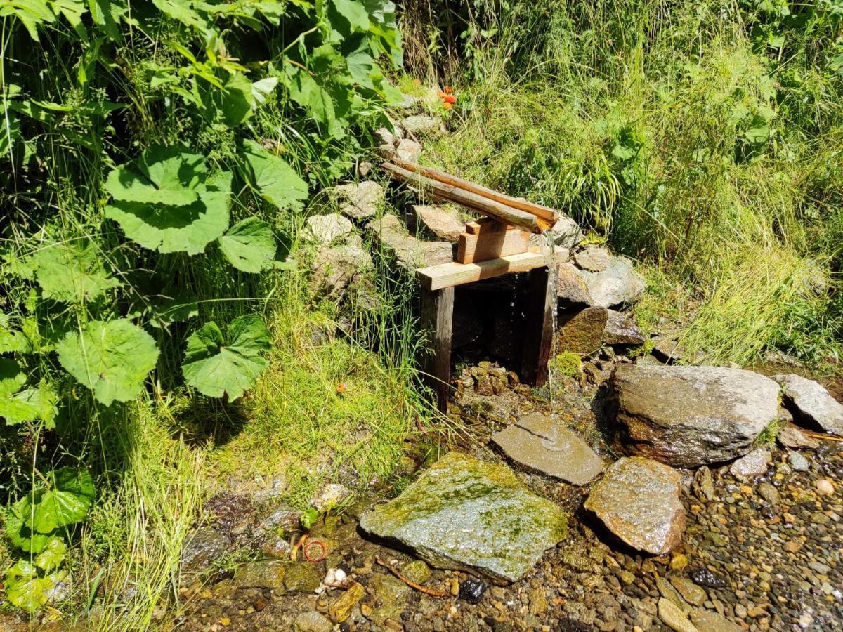 Eden Natural Resort - Transalpina Capalna Dış mekan fotoğraf