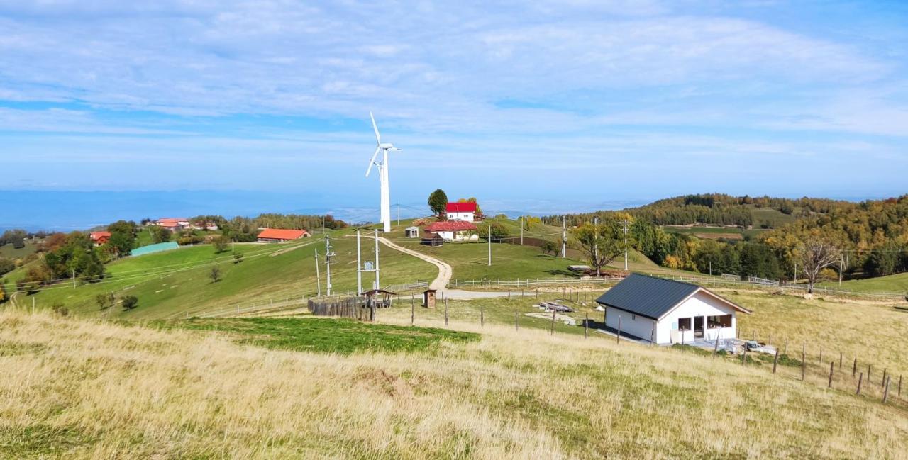 Eden Natural Resort - Transalpina Capalna Dış mekan fotoğraf