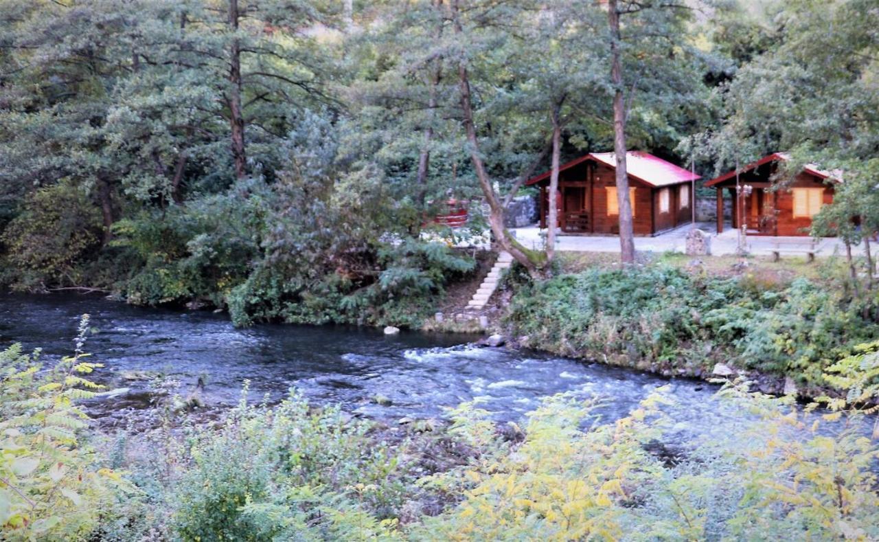 Eden Natural Resort - Transalpina Capalna Dış mekan fotoğraf