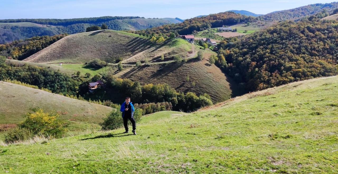 Eden Natural Resort - Transalpina Capalna Dış mekan fotoğraf