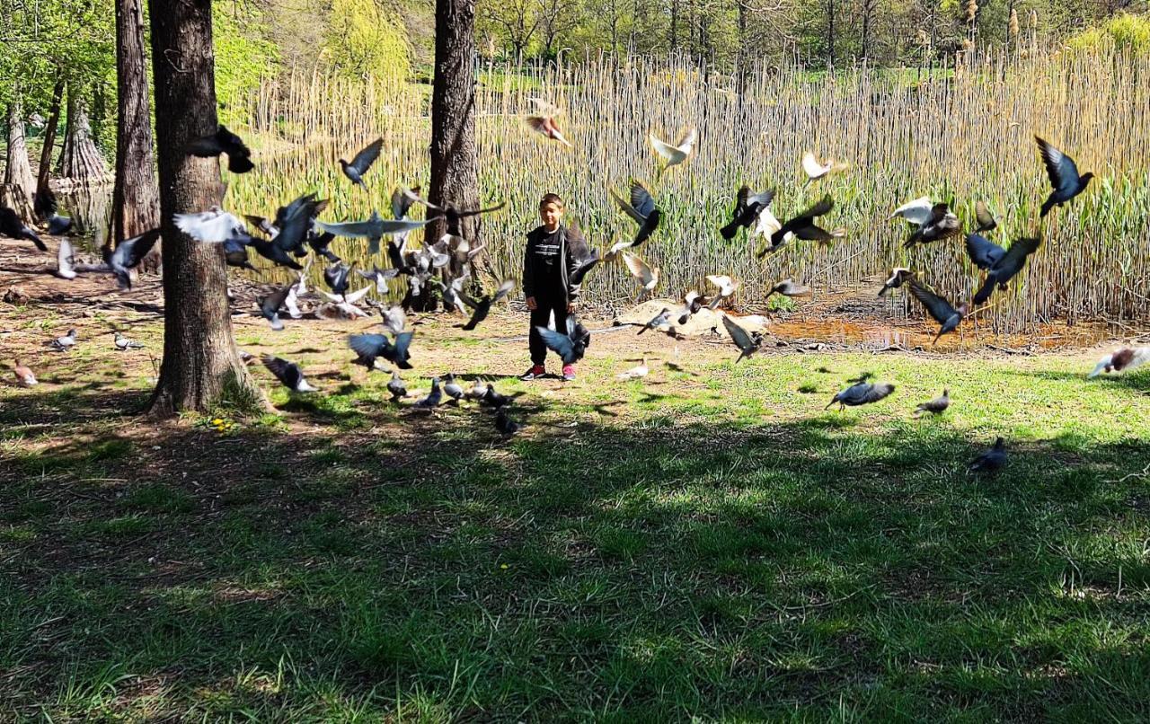 Eden Natural Resort - Transalpina Capalna Dış mekan fotoğraf