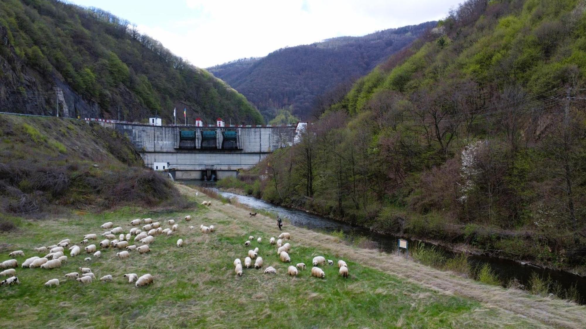 Eden Natural Resort - Transalpina Capalna Dış mekan fotoğraf